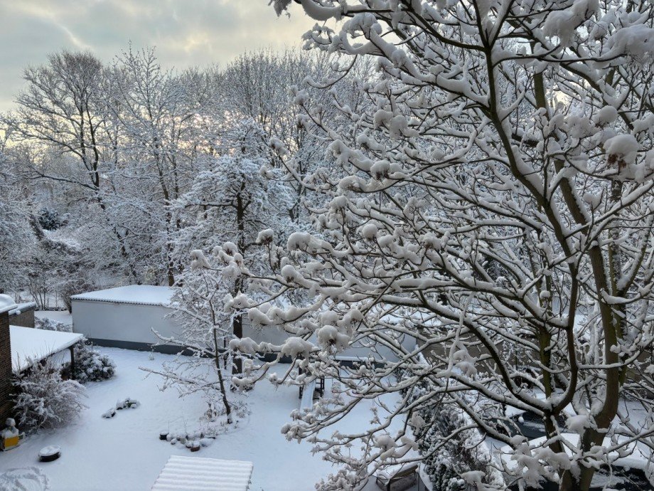 Winter im Garten Wohnung Berlin